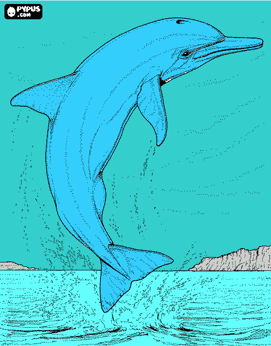 un bellissimo delfino da colorare