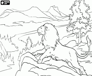 Colora Aslan, il leggendario leone creatore del paese di Narnia