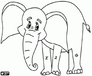 Colora Elefante con le orecchie grandi