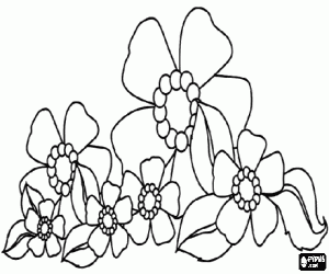 Colora Fiori di diverse dimensioni