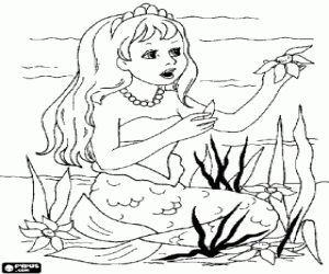 Colora Giovani sirena che raccolta fiori dei fondali marini
