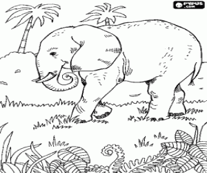 Colora Grande elefante nel bel mezzo della vegetazione