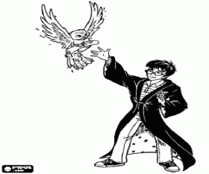 Colora Harry Potter � il suo primo incontro con il mondo magico, quando riceve la lettera di Hogwarts Scuola di Magia e Stregoneria espresso da un gufo
