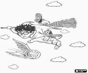 Colora Harry Potter giocando Quidditch con la sua scopa magica, come un cacciatore cerca di prendere la palla