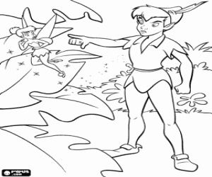 Colora Peter Pan e Campanello