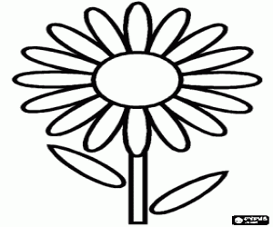 Colora Semplice fiore - Una margherita o une pratolina
