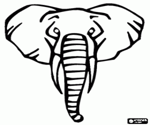 Colora Testa di elefante adulti con lunghe zanne