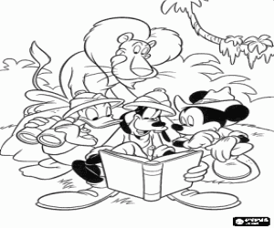 Colora Topolino ei suoi amici Donald e Goofy nella giungla con un leone dietro