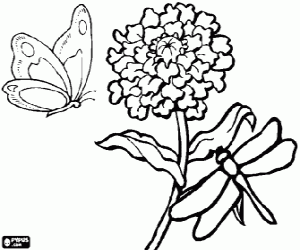 Colora Una farfalla e una libellula sorvolano un fiore