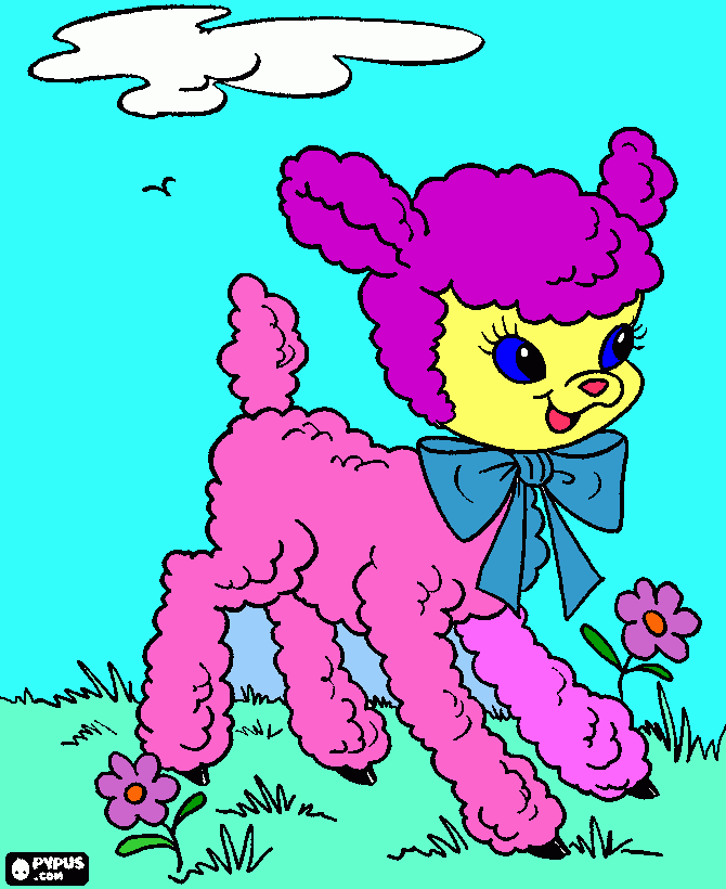 AGNELLO PASQUALE da colorare