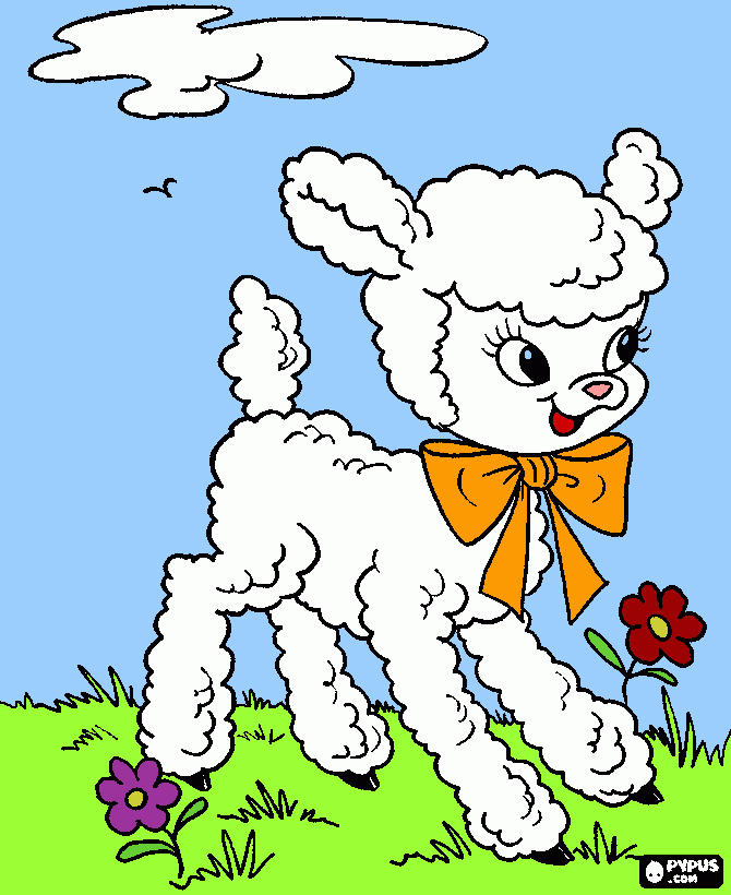 agnello da colorare