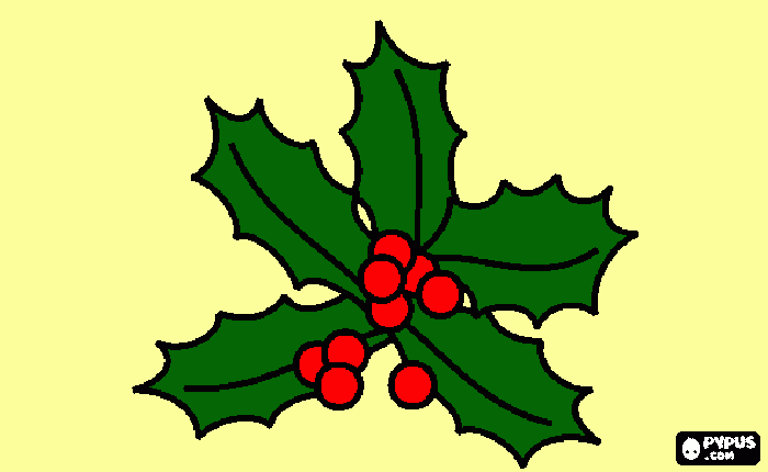 agrifoglio da colorare