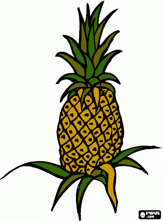 ananas per ricamo colorato da colorare