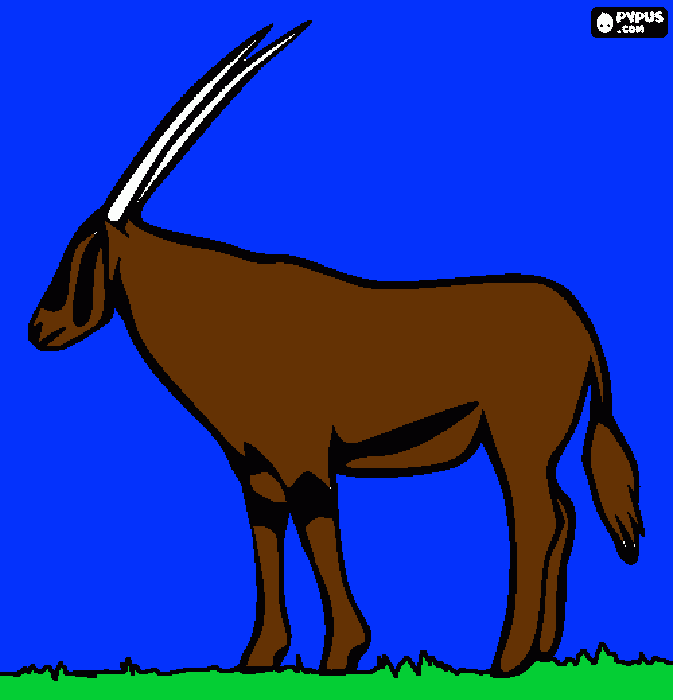 antilope africana da colorare