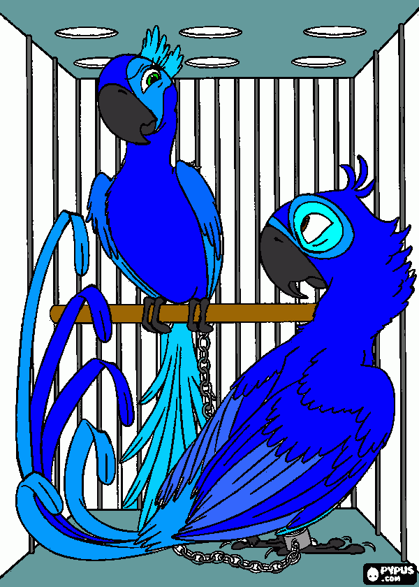 Blu e Joelle da colorare