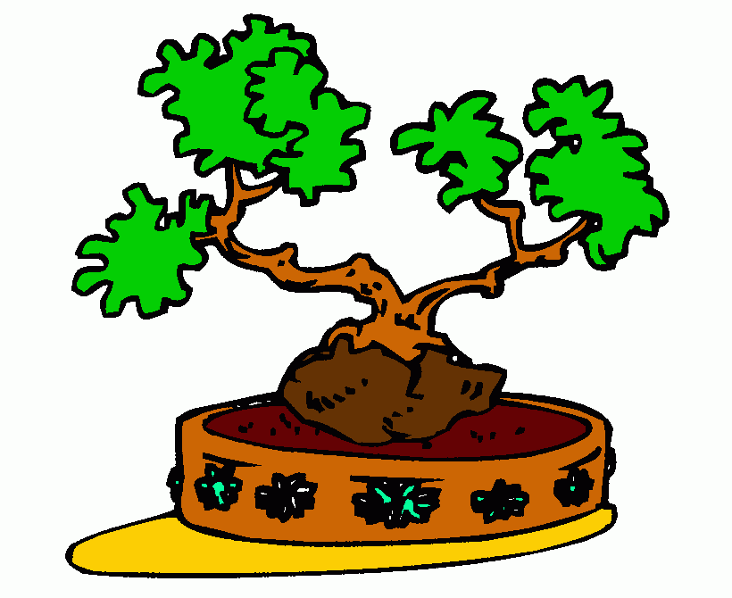 Bonsai da colorare