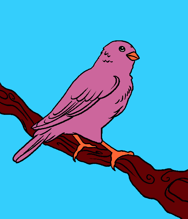 canarino da colorare
