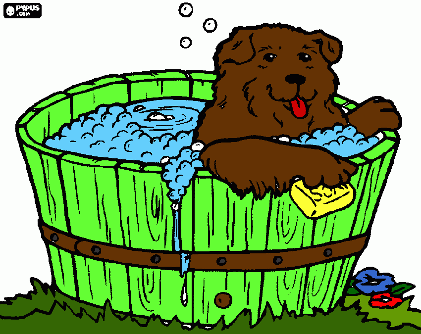 cane che fa il bagno da colorare