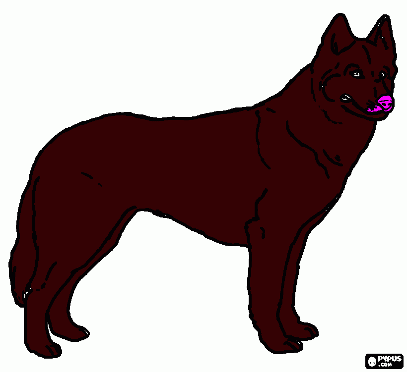 cane lupo da colorare