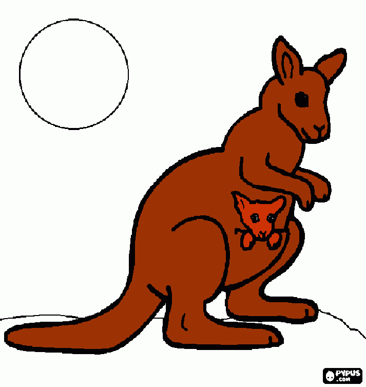 canguro da colorare