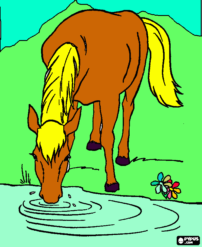 cavallo ambra da colorare