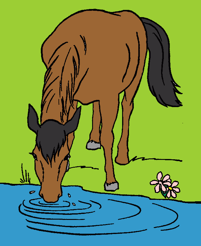 cavallo che beve da colorare