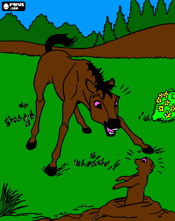 cavallo colorato da colorare
