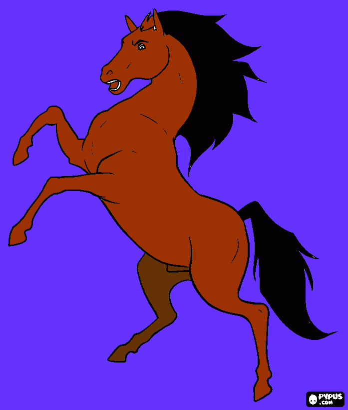 cavallo imbizzarrito da colorare