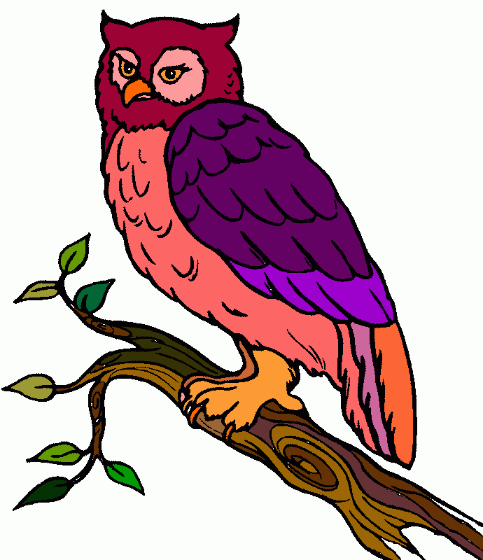 ciao bel barbagianni da colorare
