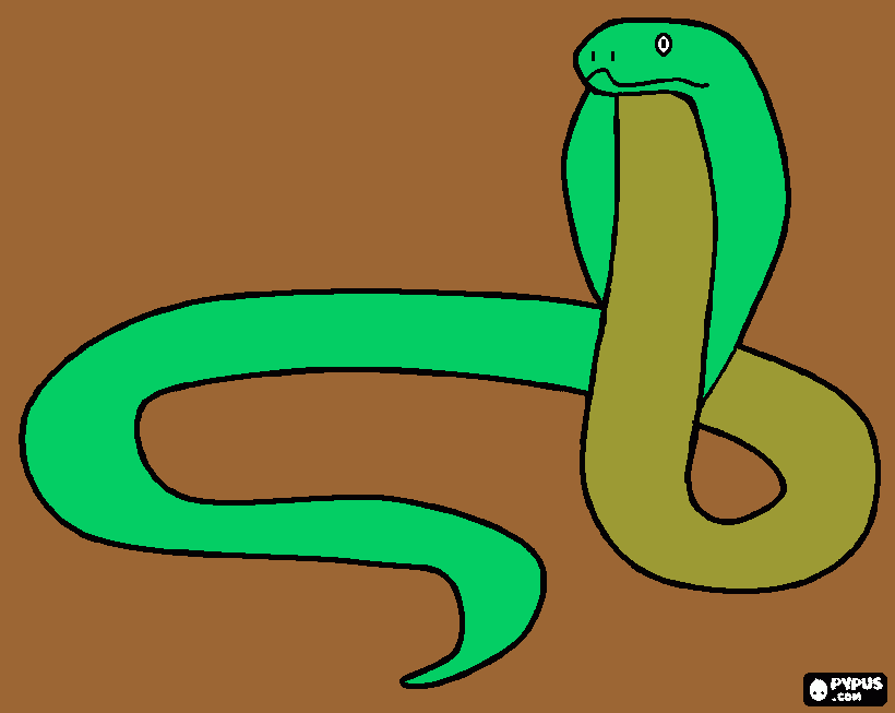 cobra africano da colorare