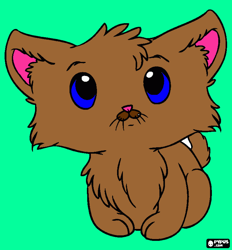 coccole da colorare