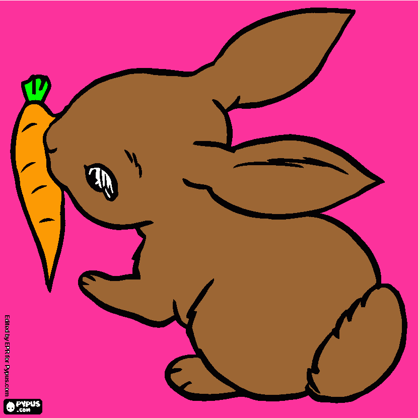 coniglio che mangia la carota da colorare