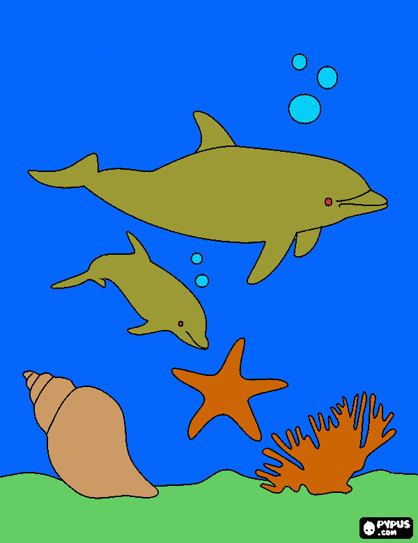 delfini colorati da chiara da colorare