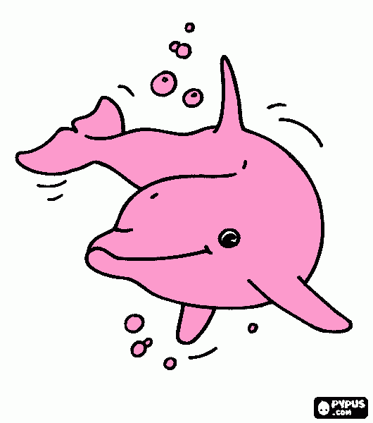 delfino rosa da colorare