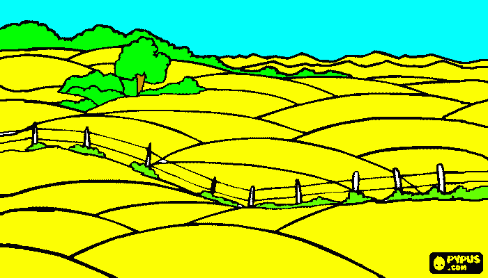 deserto. da colorare