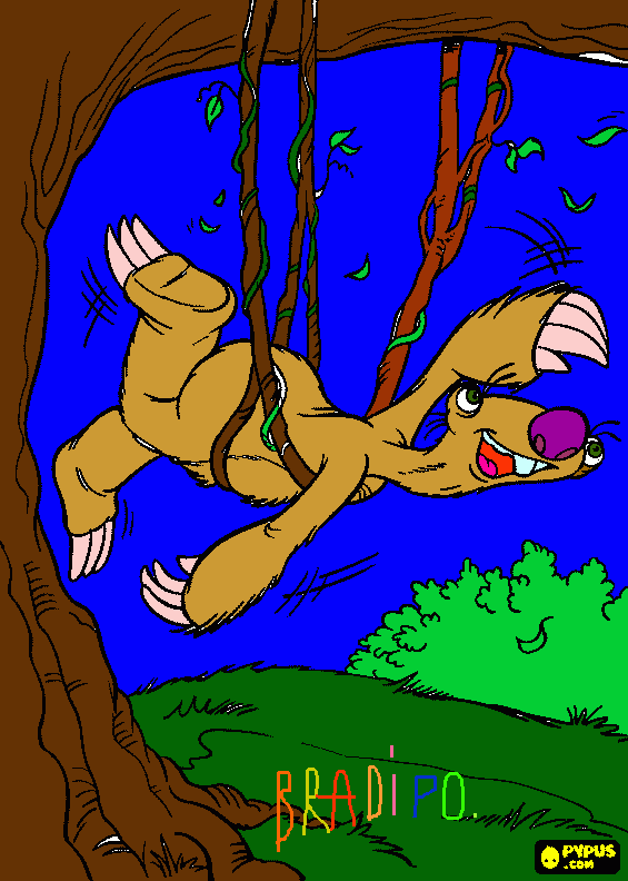 disegno bradipo da colorare