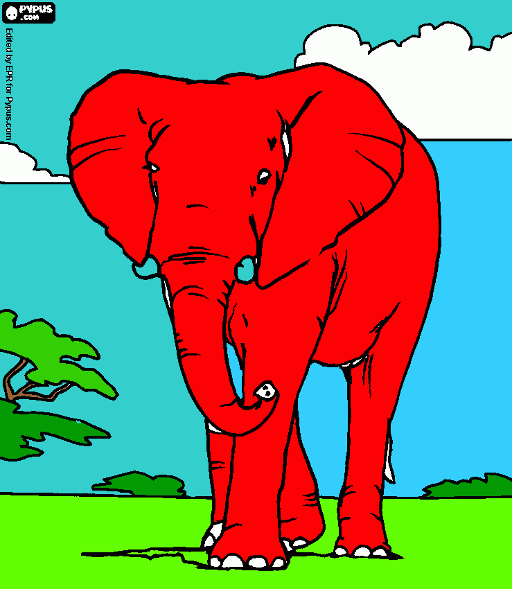 Elefante da colorare da colorare