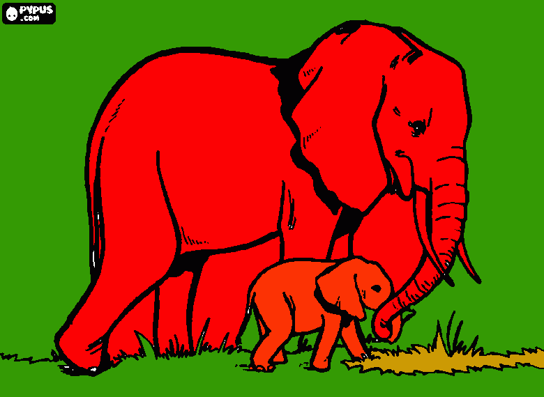 elefante di gaia da colorare