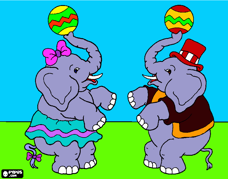 elefanti da colorare