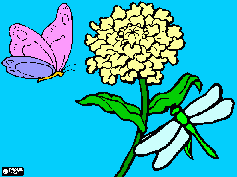 farfalla,libellula su un fiore da colorare