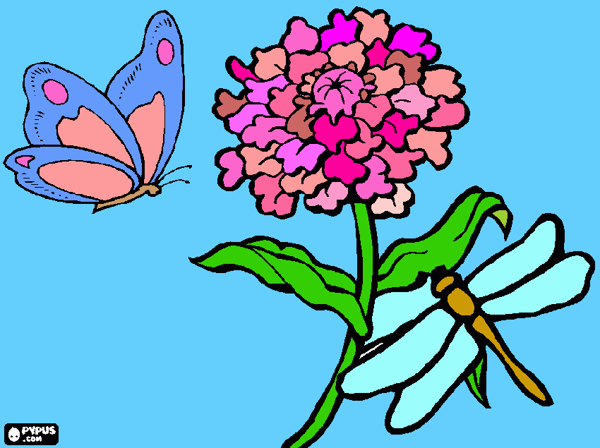 farfalle da colorare