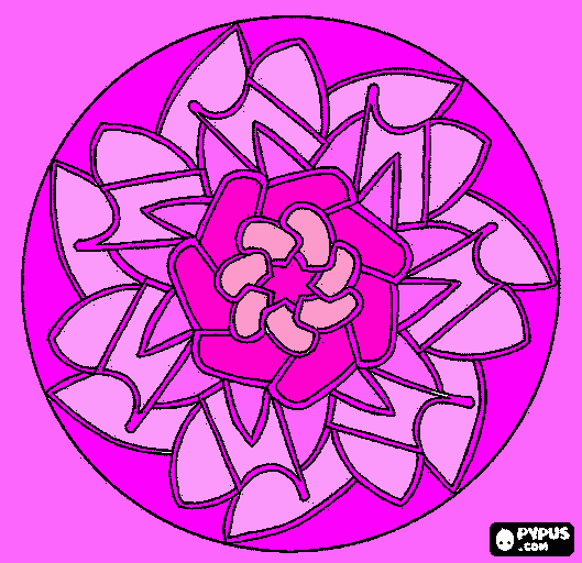 fior di loto da colorare