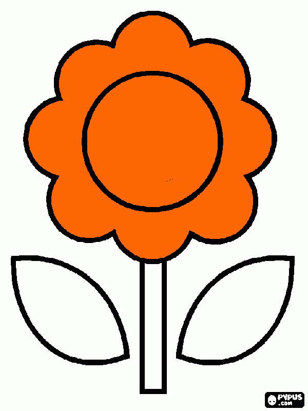 fiore arancio da colorare