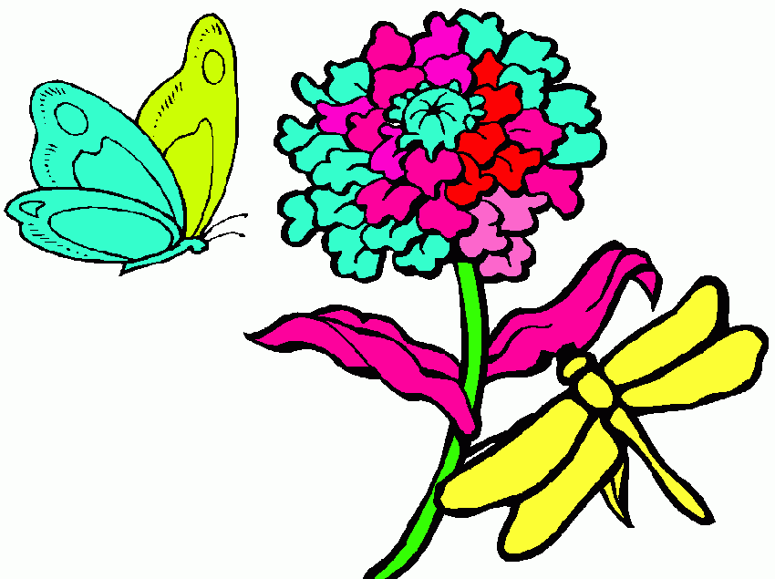 Fiori e insetti da colorare