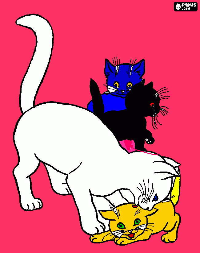 gatta/ini da colorare