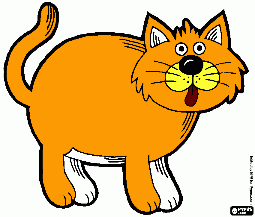 gatto grasso da colorare