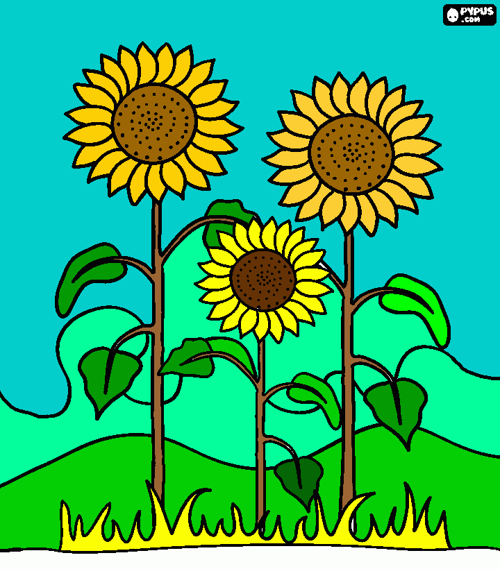 girasole da colorare