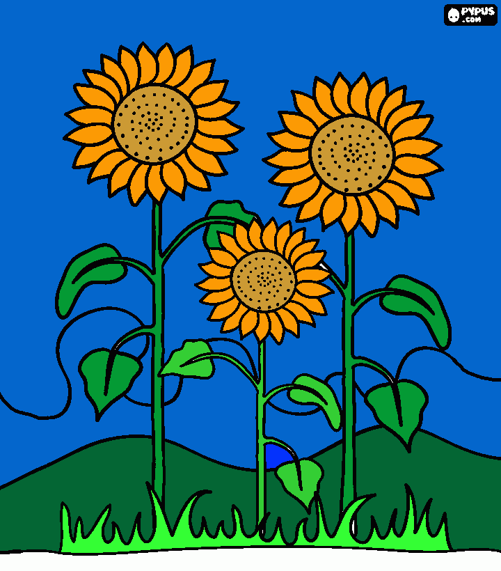 girasoli portafortuna da colorare