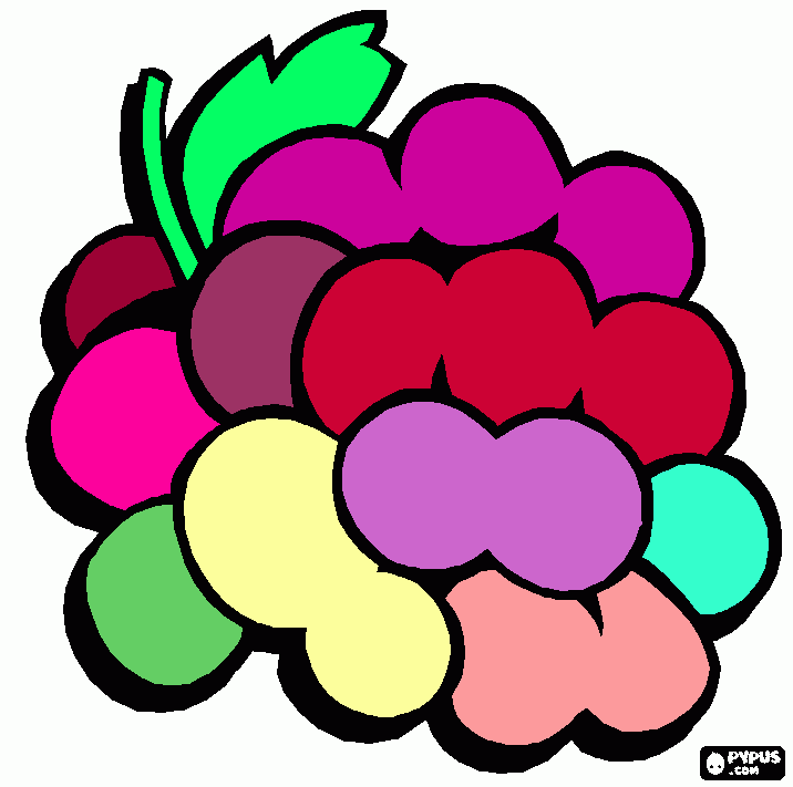 grappolo d'uva da colorare