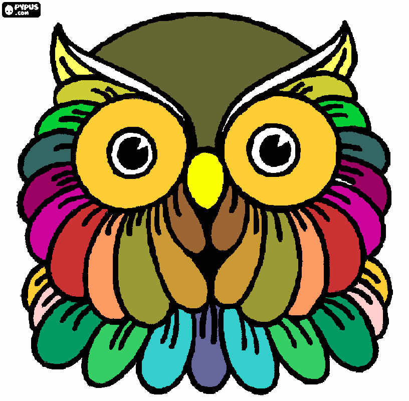 gufo colorato da colorare